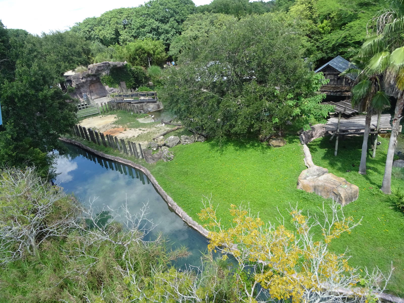 Hippopotamus Exhibit From Above at Busch Gardens Tampa