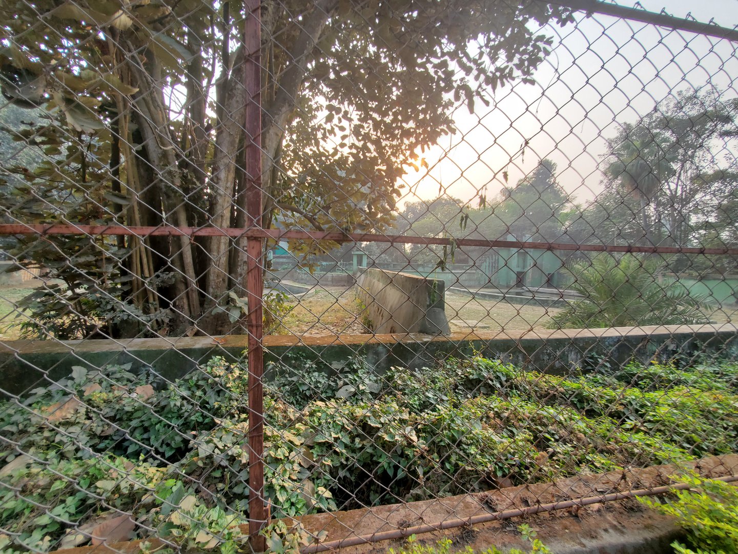 Hippopotamus Exhibit - January 2023