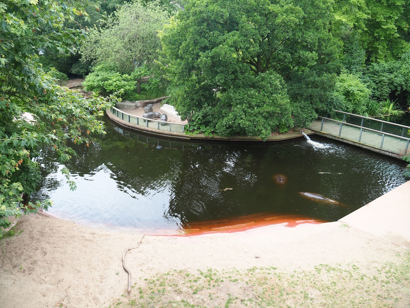 Hippopotamus exhibit - Now an exhibit of the past, 2023-07-02