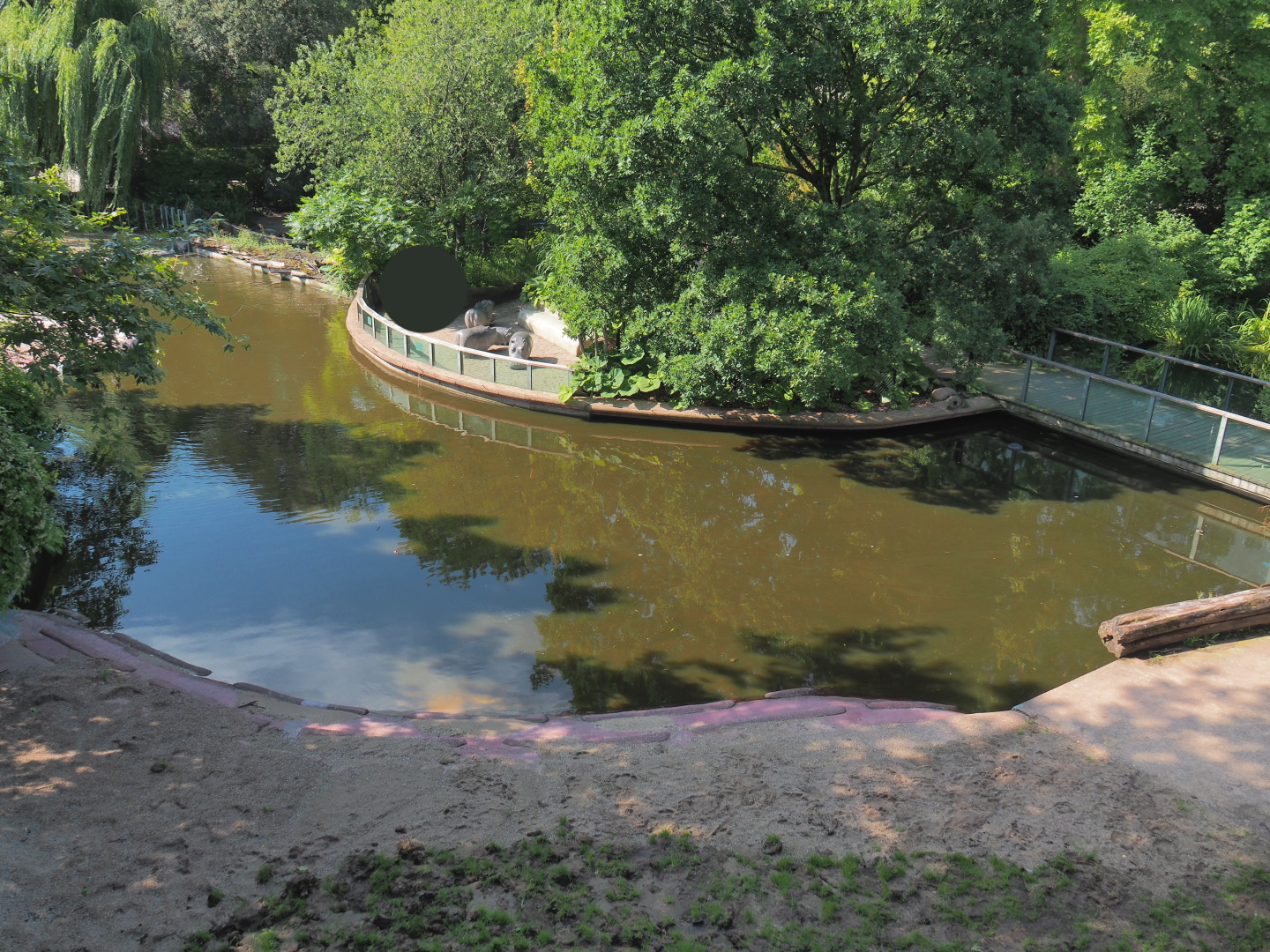Hippopotamus exhibit, seen from the viewing area on the roof of the hippopotamus house, 2021-07-17