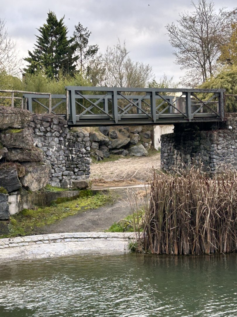 Hippopotamus exhibit with bridge for the train route