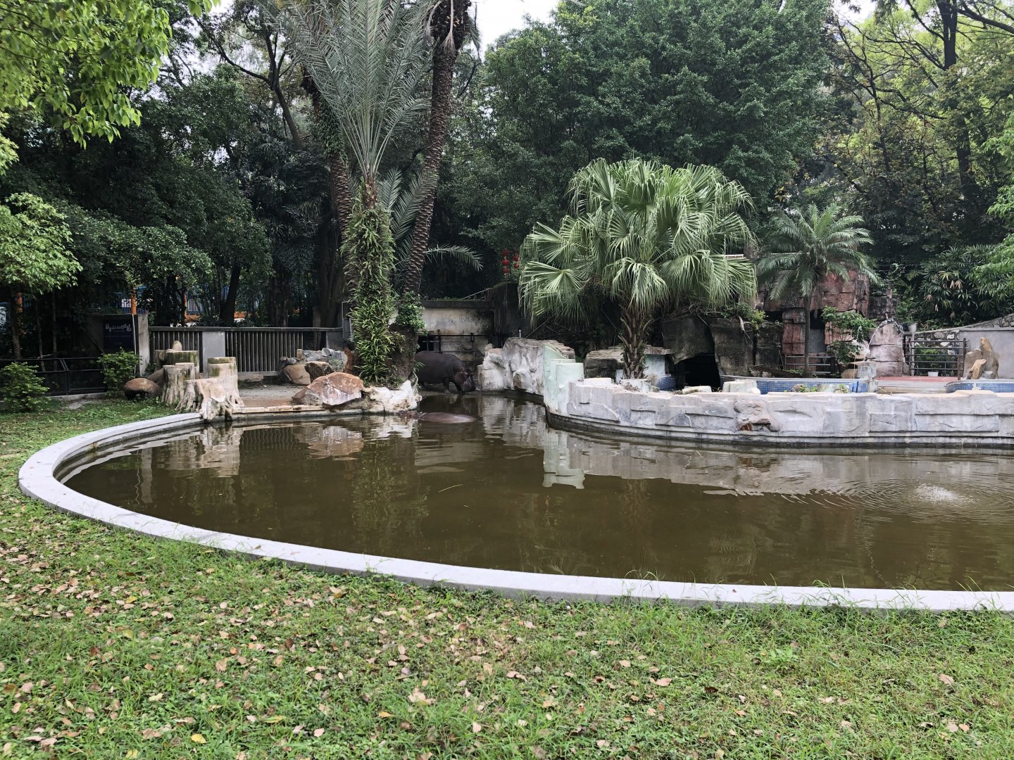 Hippopotamus Exhibit