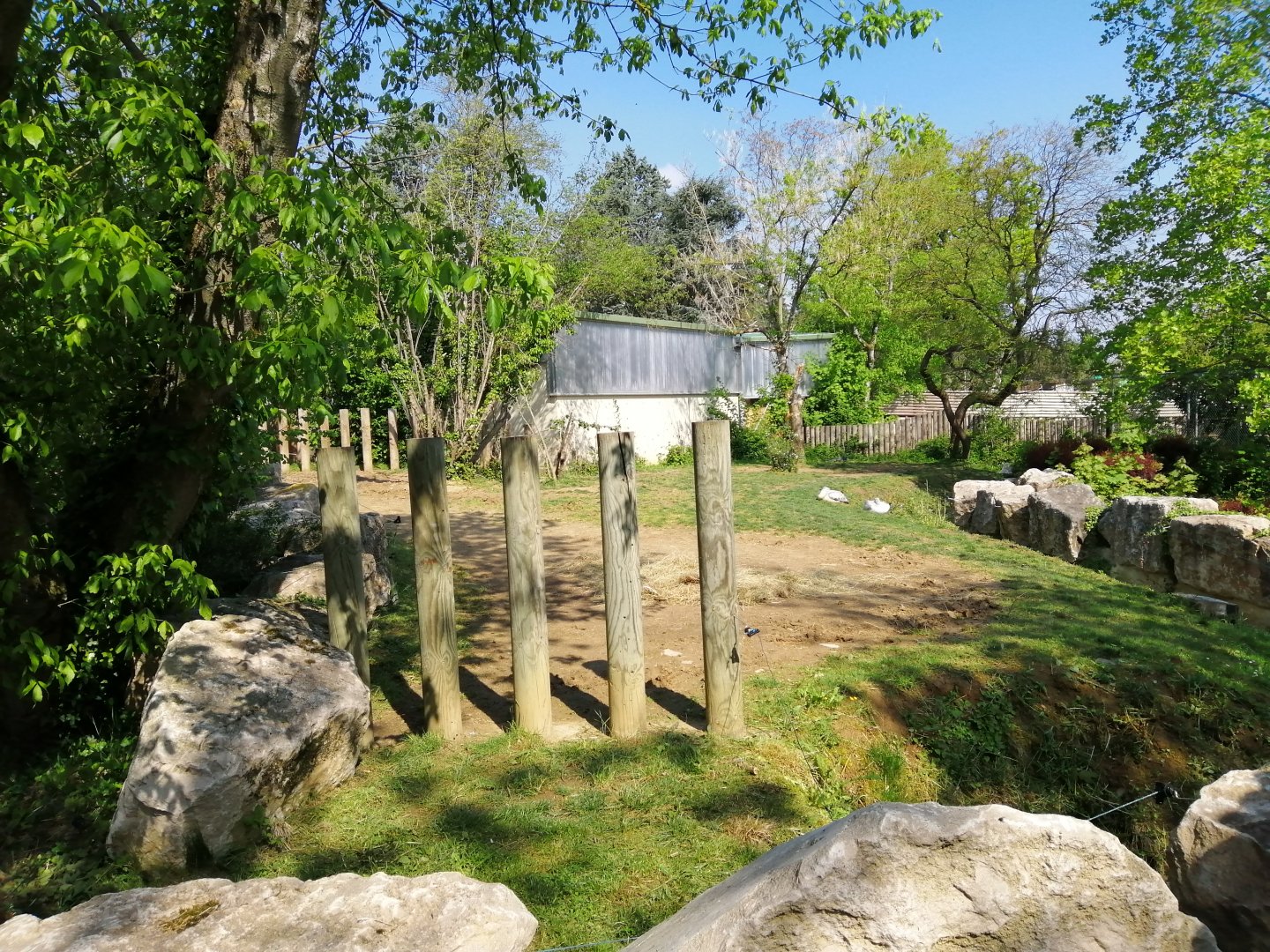 Hippopotamus Exhibit