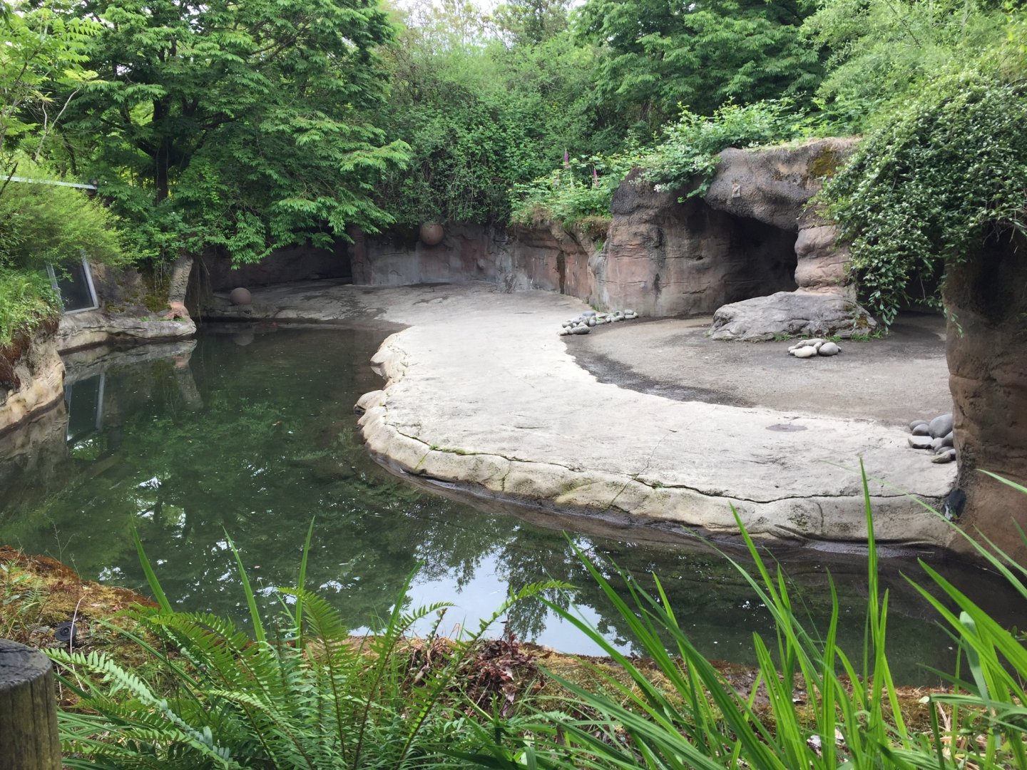 Hippopotamus Exhibit