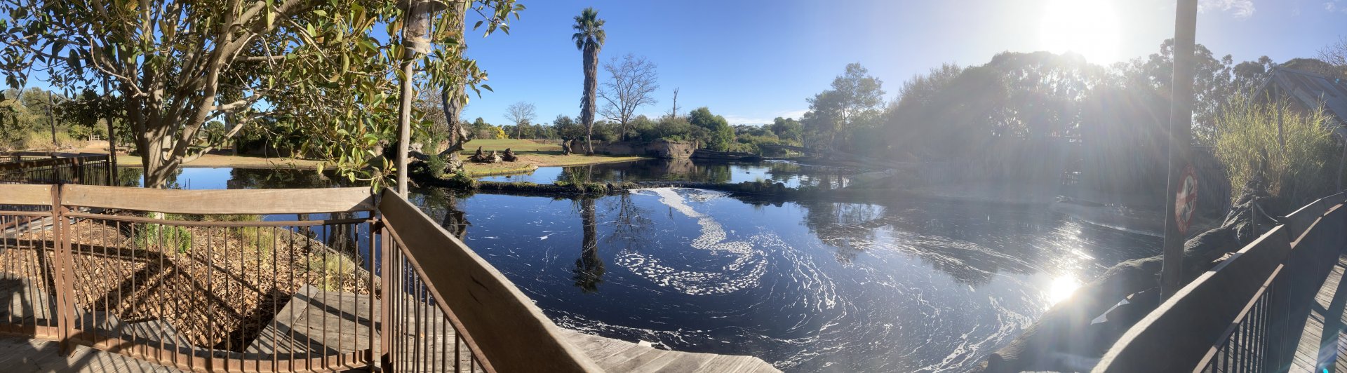 Hippopotamus Exhibit
