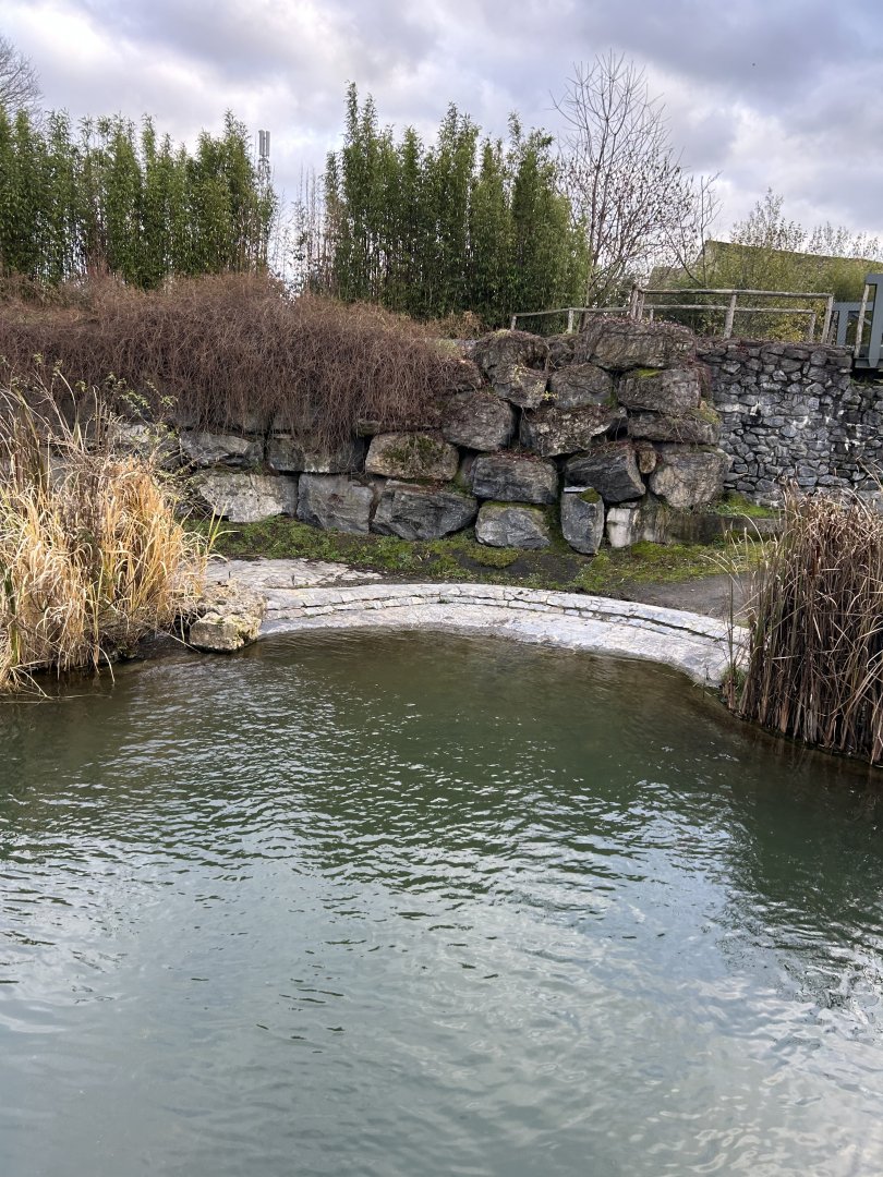 Hippopotamus exhibit