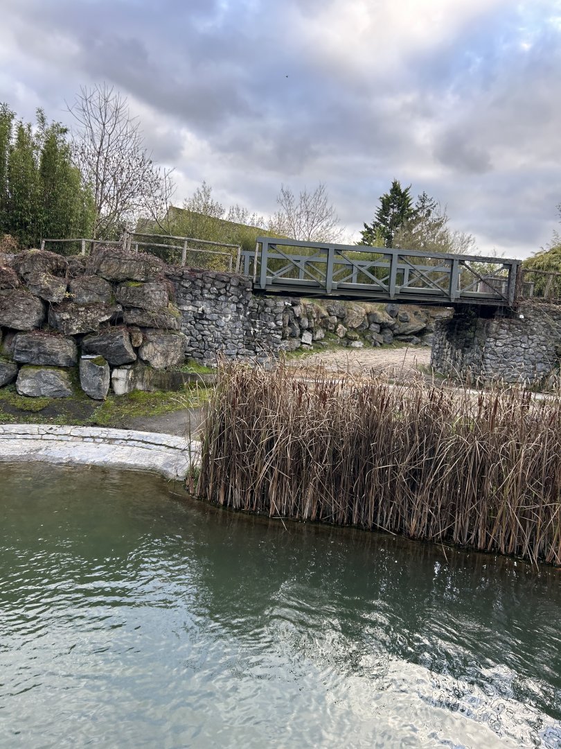 Hippopotamus exhibit