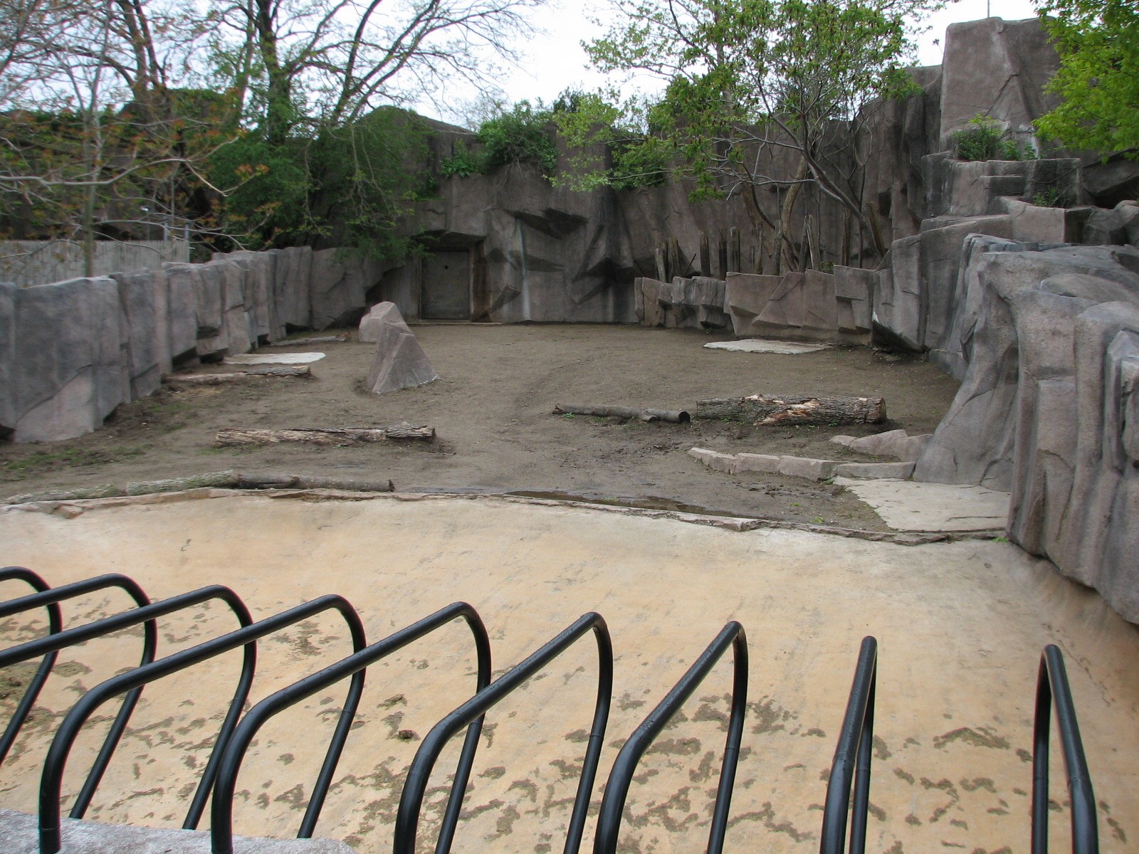Hippopotamus Exhibit
