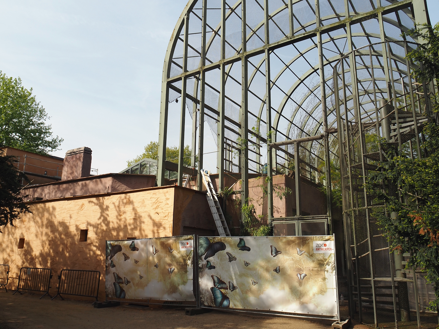 Hippopotamus house renovations, 2024-05-01