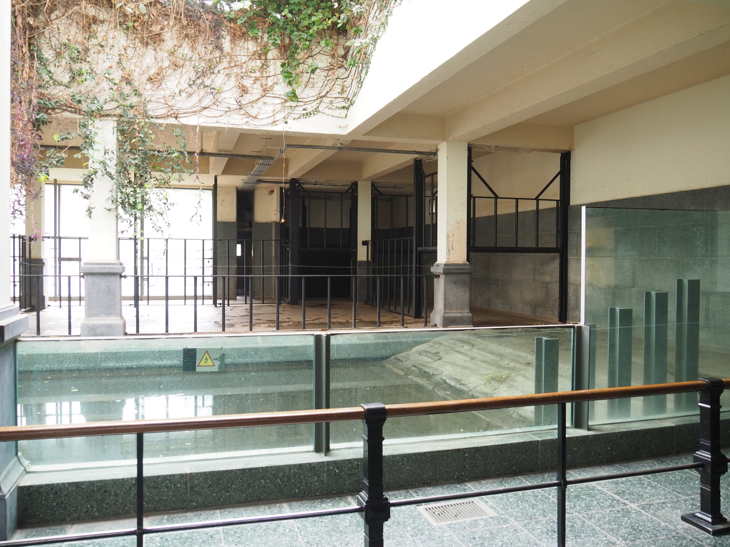 Hippopotamus indoor exhibit, 2022-03-16