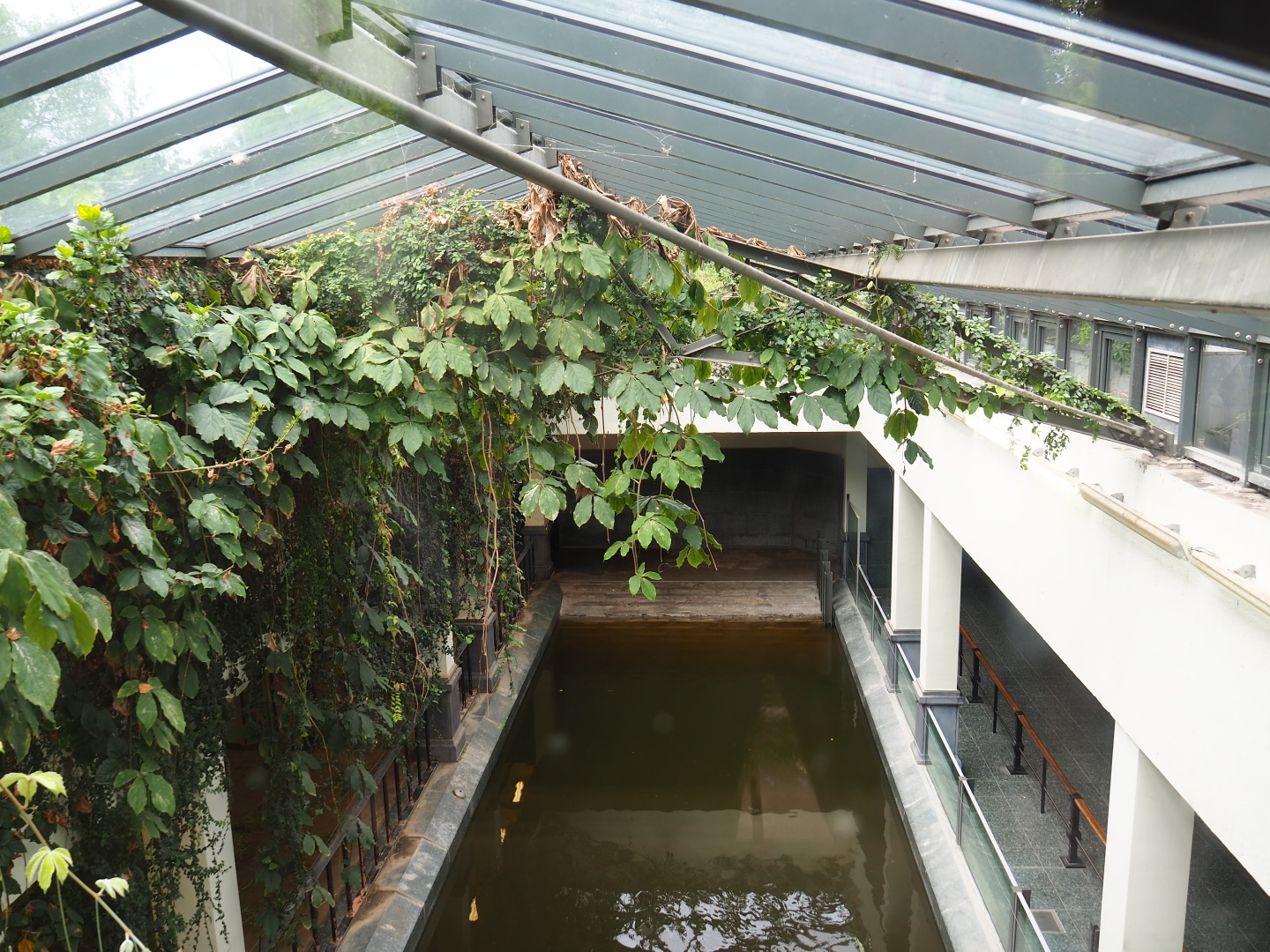 Hippopotamus indoor housing, seen from the viewing area on the roof of the hippopotamus house, 2021-06-12