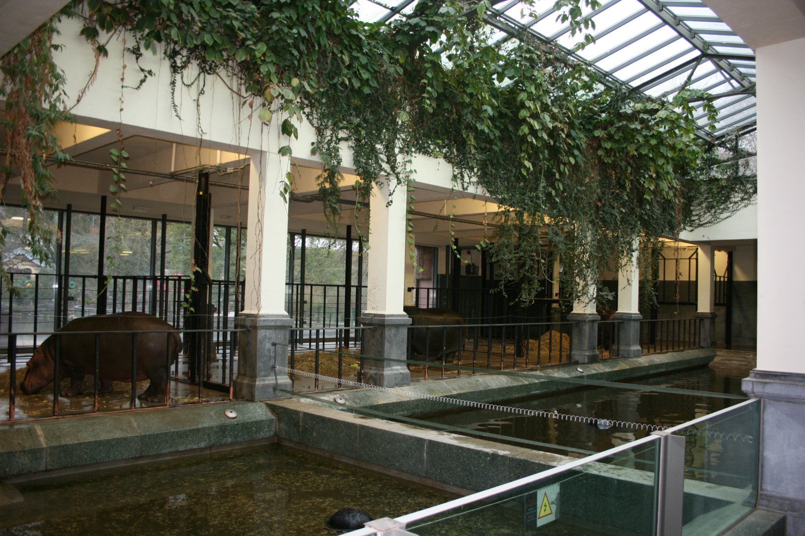 Hippopotamus indoor stable
