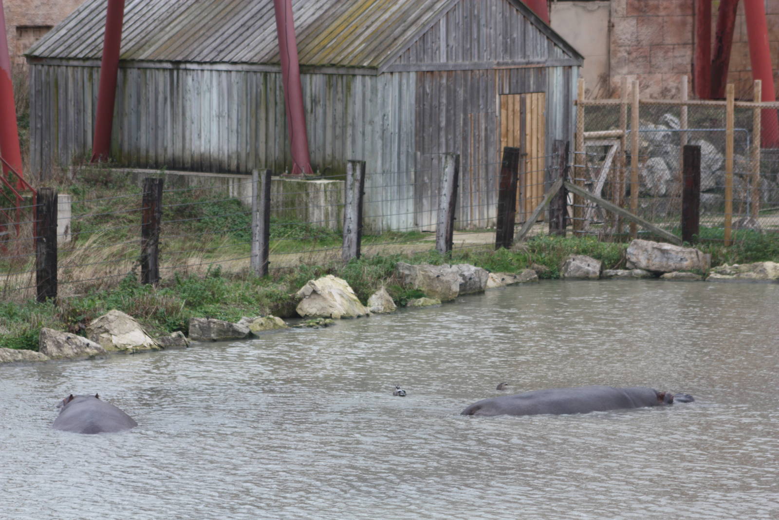 Hippopotamus Lake, 27th October 2014