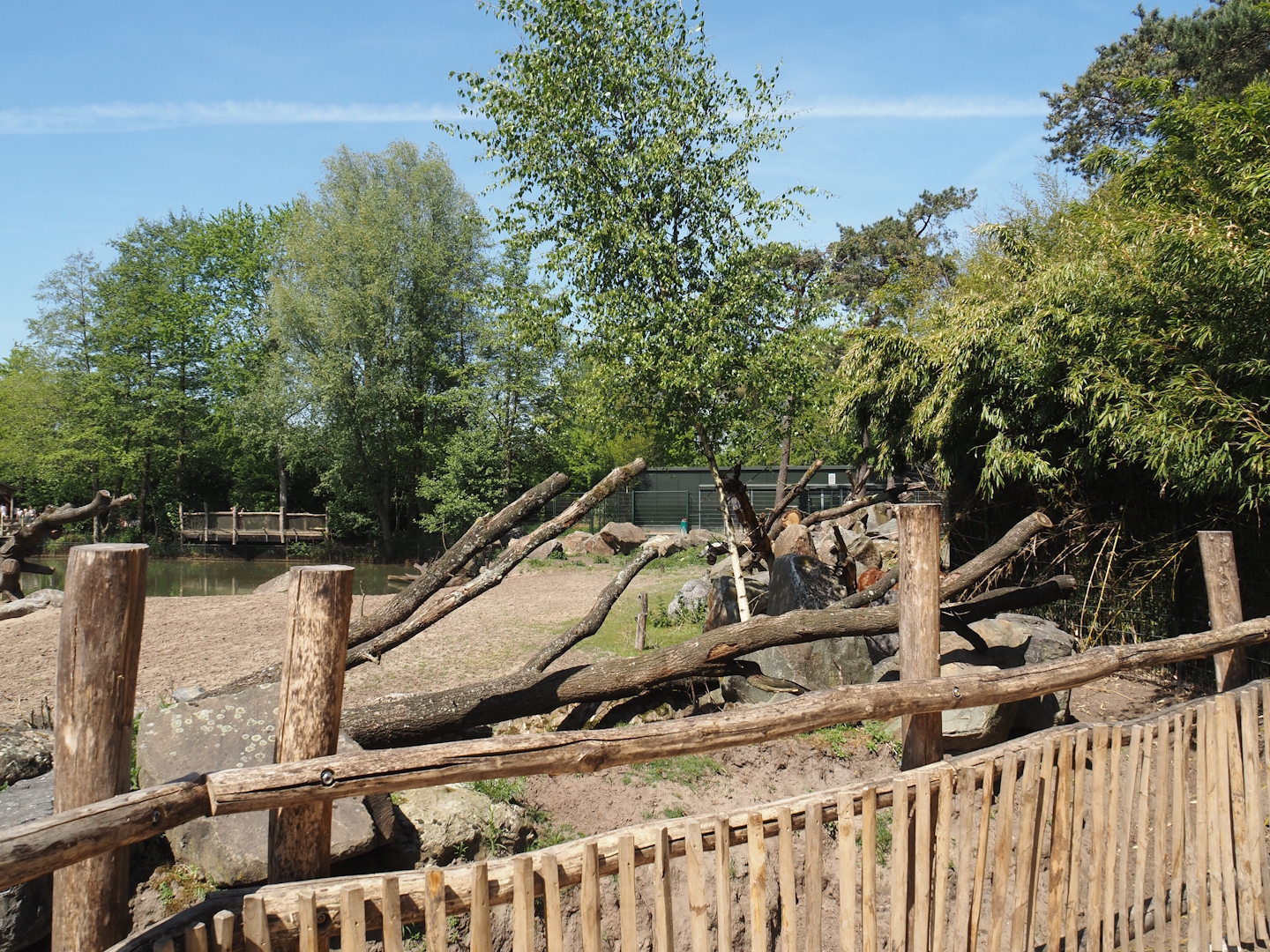 Hippopotamus, Marabou and Western sitatunga exhibit -  separate area for sitatungas next to the hippo beach, 2025-04-30