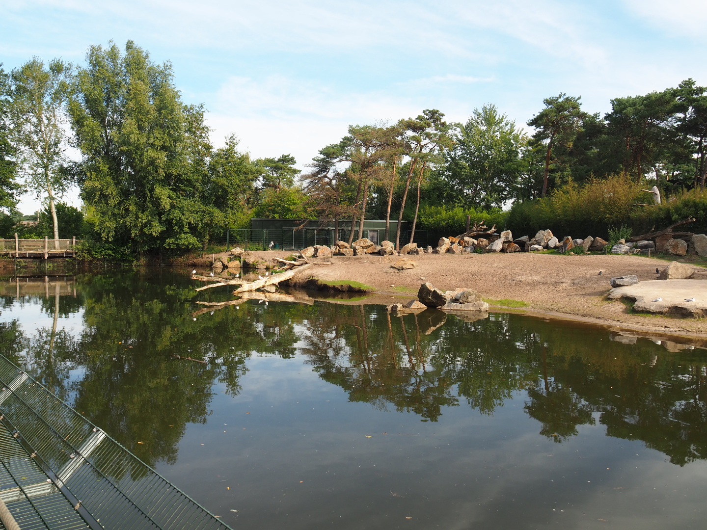 Hippopotamus, Nile lechwe and marabou exhibit, 2019-09-15