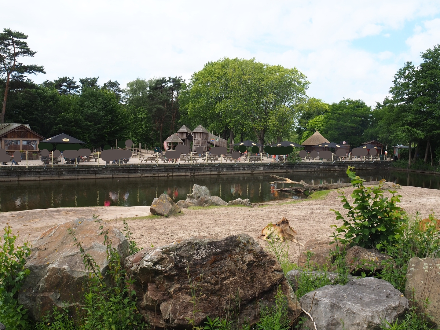 Hippopotamus, Nile lechwe and Marabou exhibit, 2022-06-12