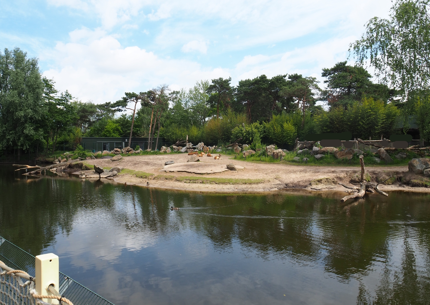 Hippopotamus, Nile lechwe and Marabou exhibit, 2022-06-12