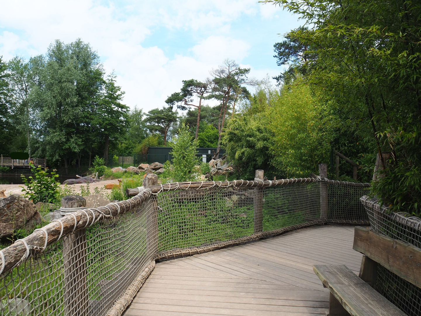 Hippopotamus, Nile lechwe and Marabou exhibit viewing area, 2022-06-12