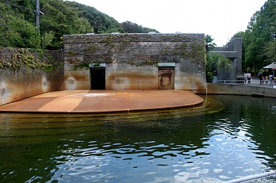 Hippopotamus outdoor exhibit
