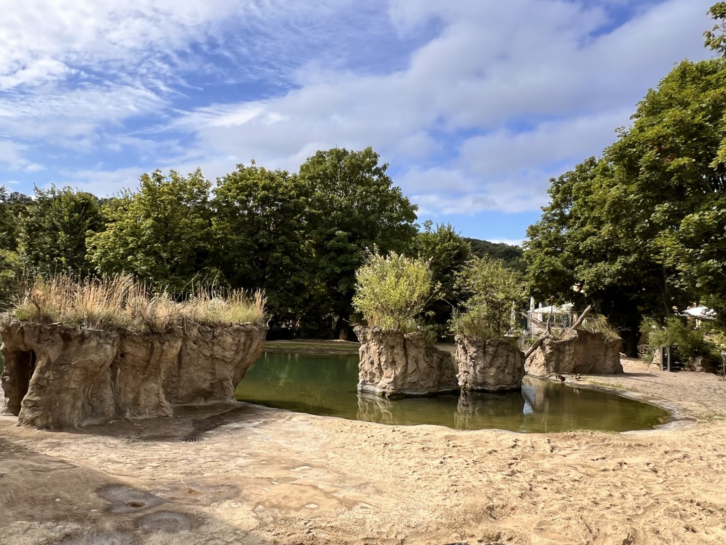 Hippopotamus Outdoor Exhibit