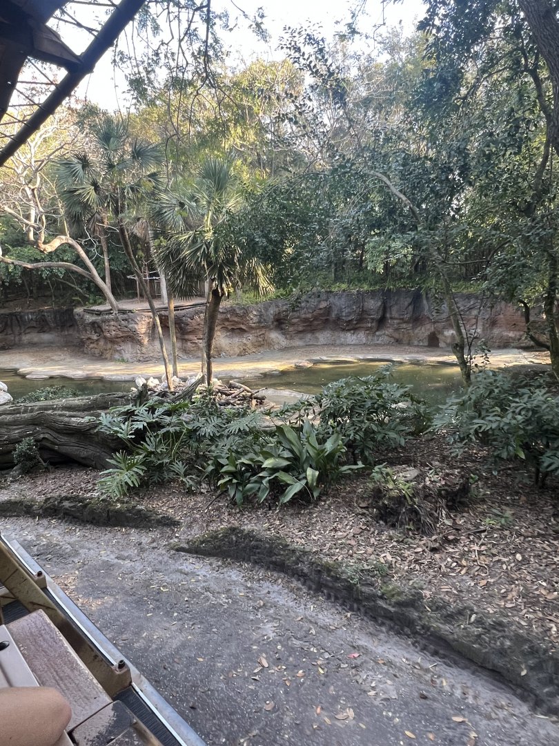 Hippopotamus/Pink-Backed Pelican Exhibit 1