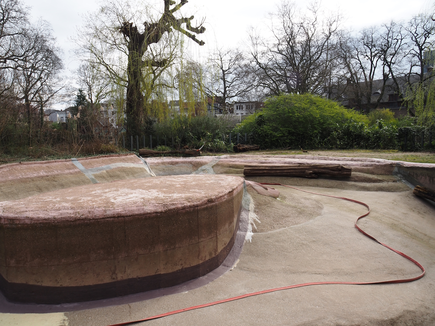 HIppopotamus pool empty for maintenance, 2024-03-09