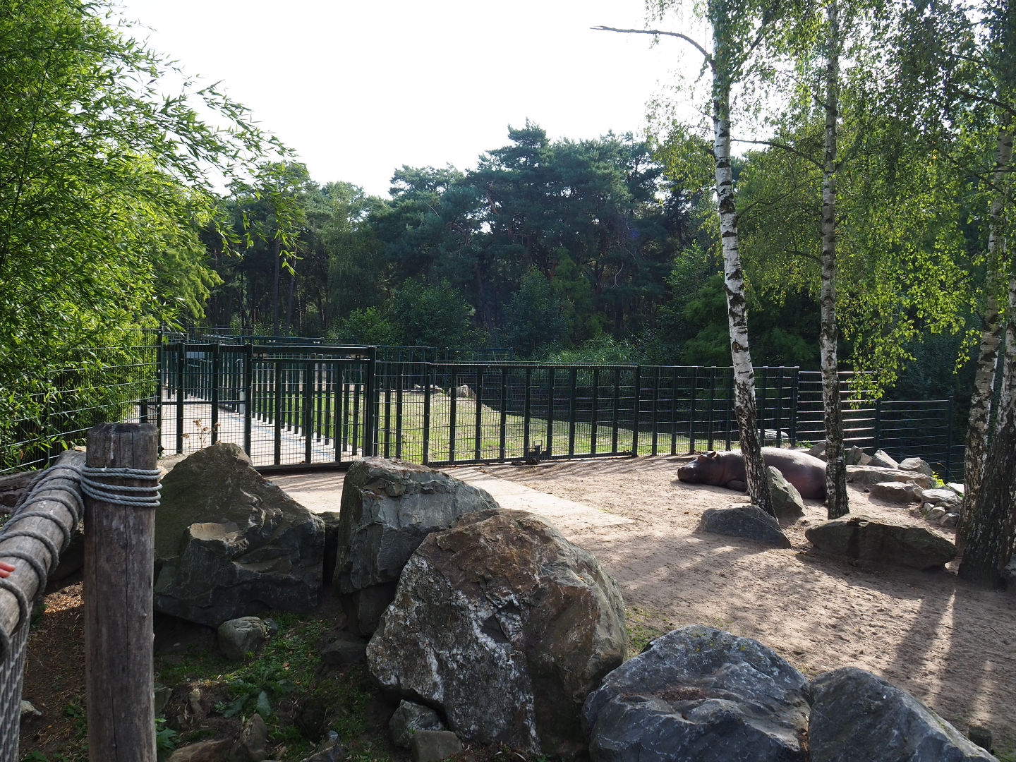 Hippopotamus separation paddocks, 2019-09-15