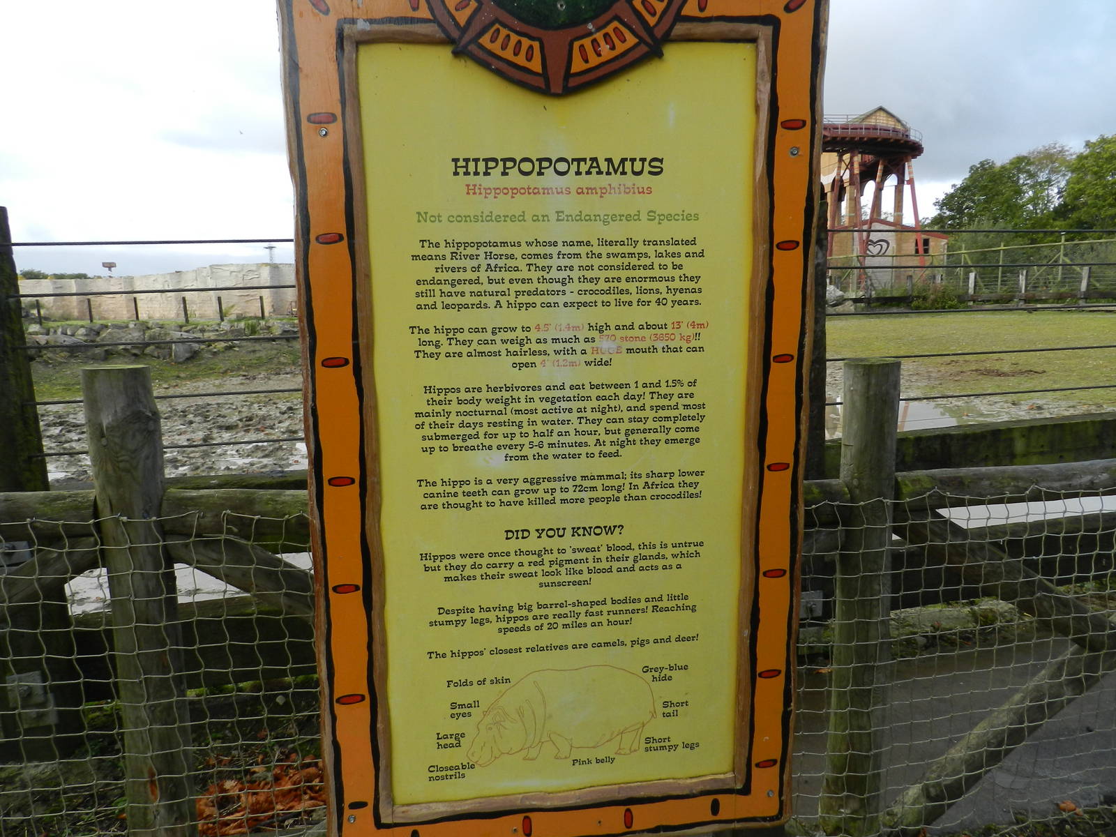 Hippopotamus sign at Flamingo Land - 14/10/2012
