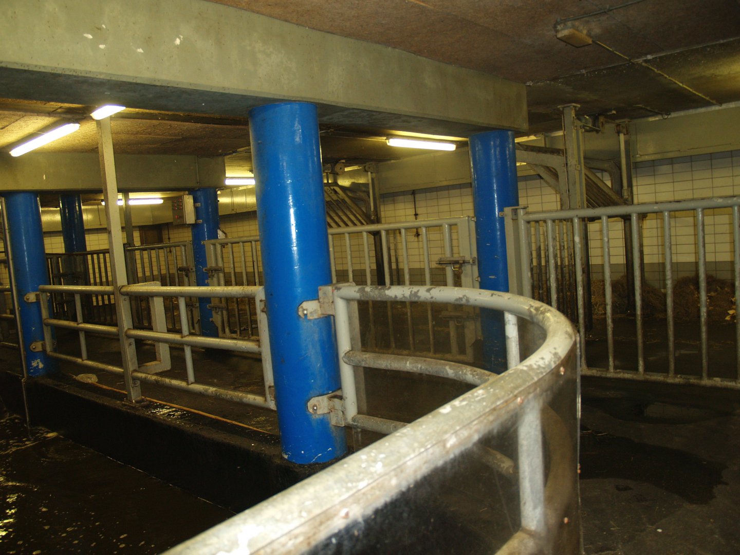 Hippopotamus stable - Land paddocks, 2008-03-01