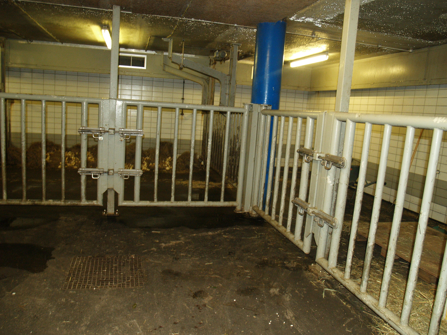 Hippopotamus stable - Land paddocks, 2008-03-01