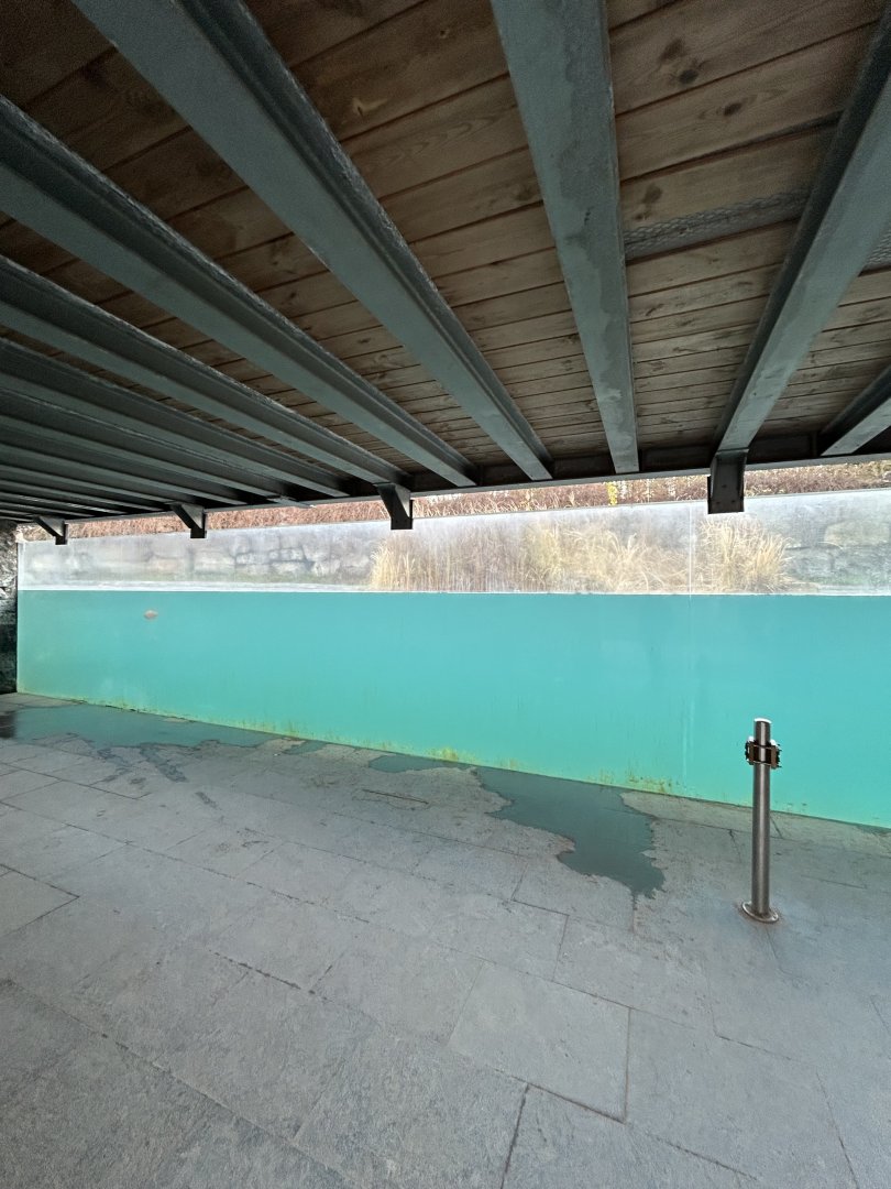 Hippopotamus underwater viewing point