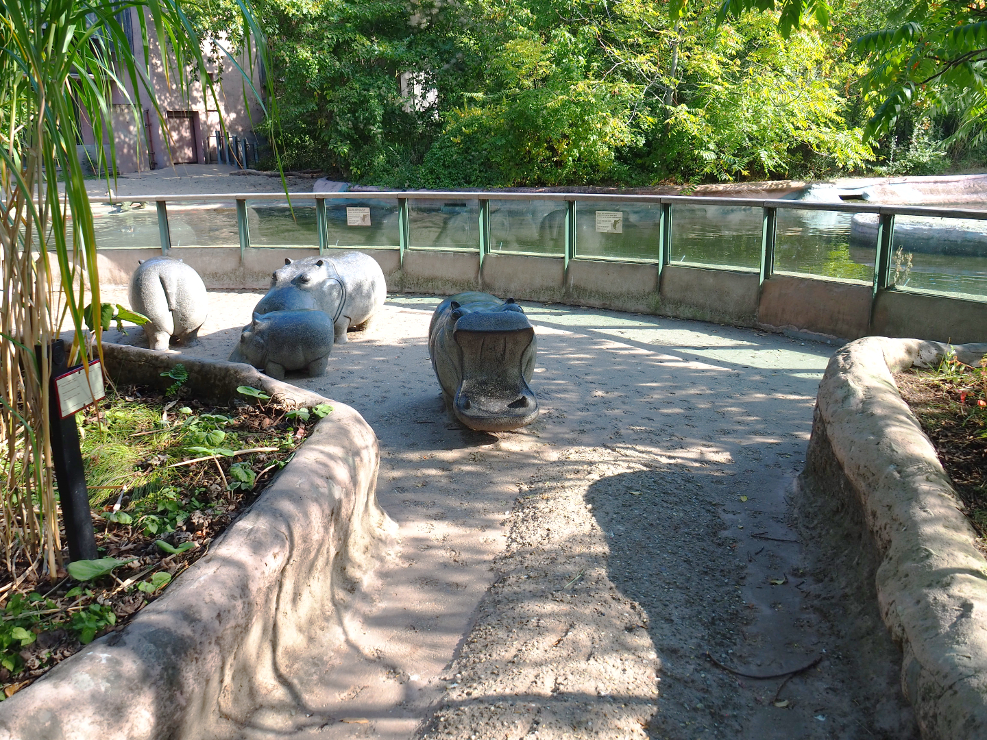 Hippopotamus viewing area, 2020-09-20