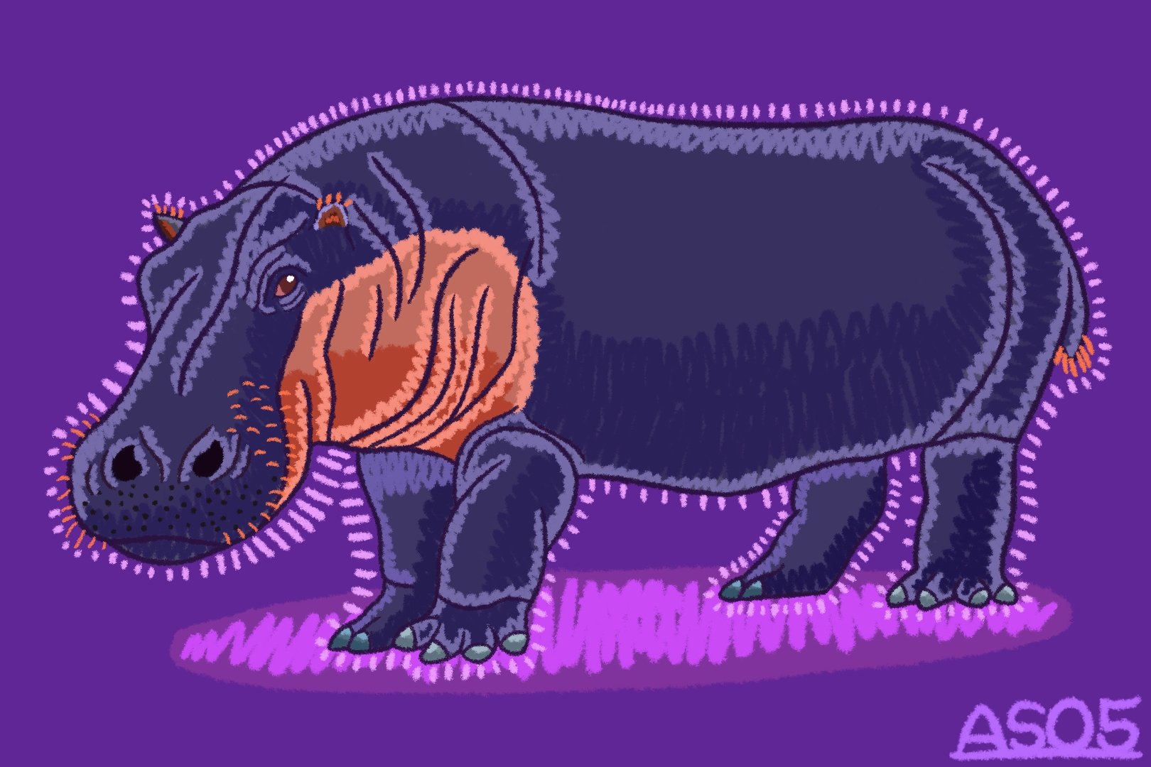 Hippopotamus