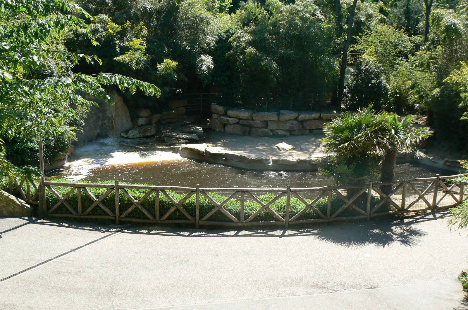 Hippopotamuses exhibit