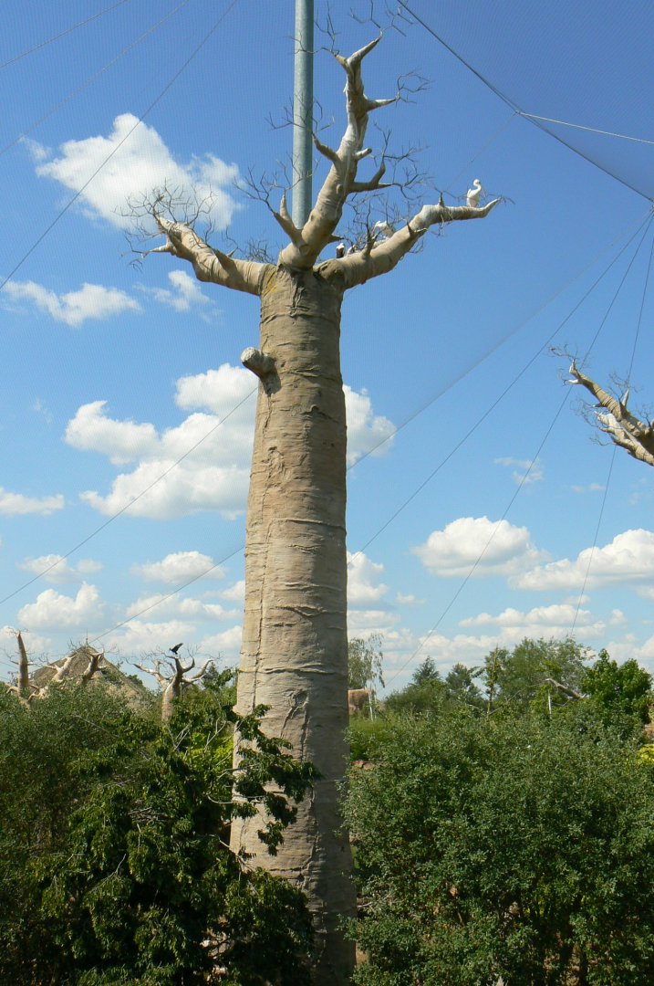 Hippopotamuses' reserve