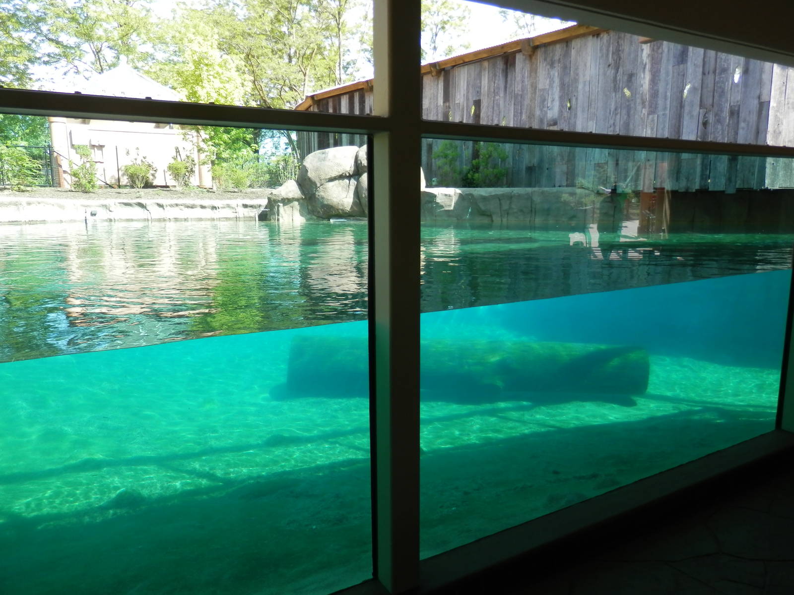 Hippoquarium with deck