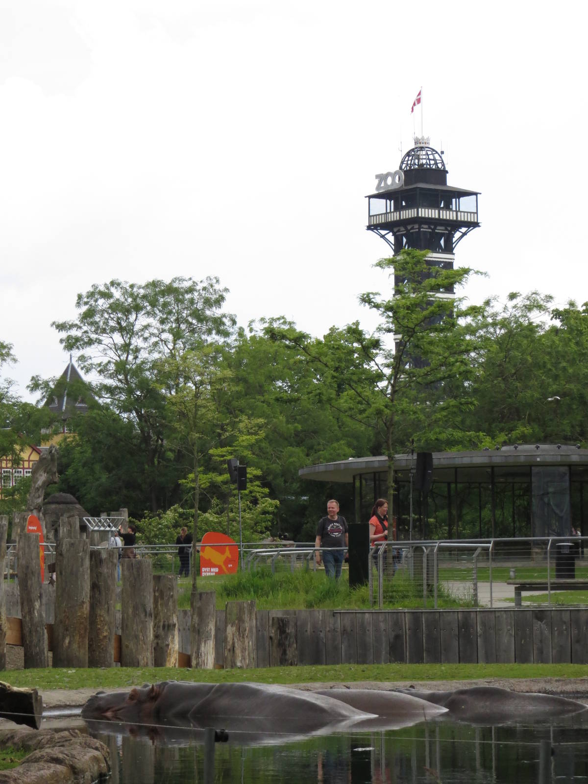 Hippos and zoo tower, June 2015.