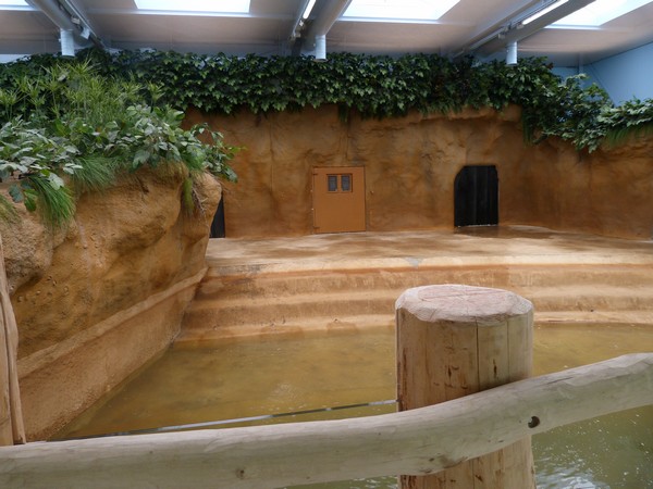 Hippo's indoor enclosure