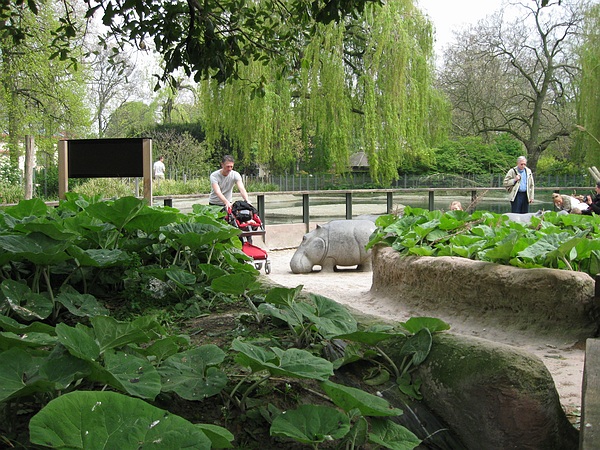Hippotopia, Antwerp Zoo.