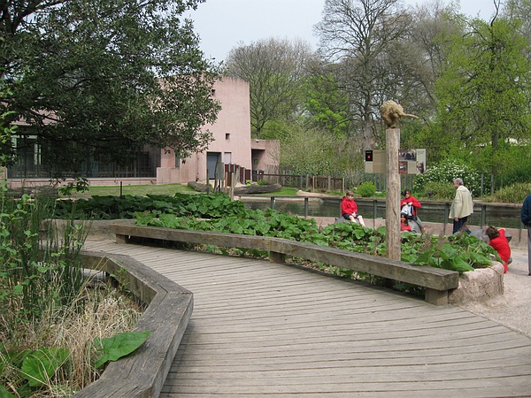 Hippotopia, Antwerp Zoo.