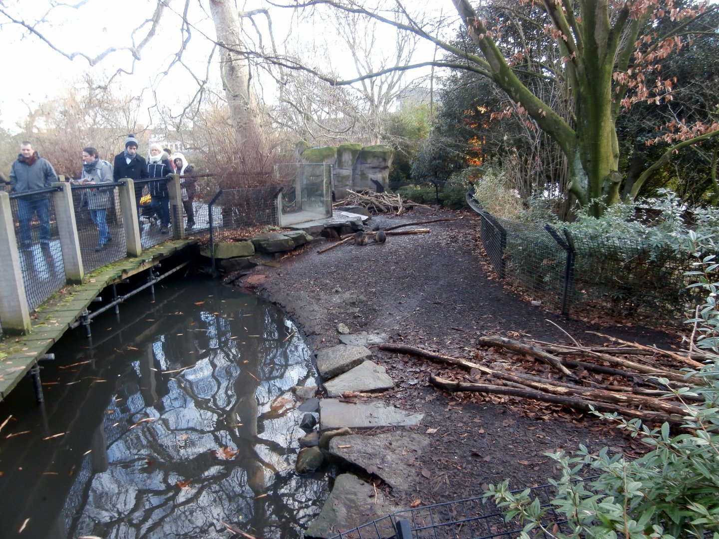 Hippotopia - Coypu enclosure