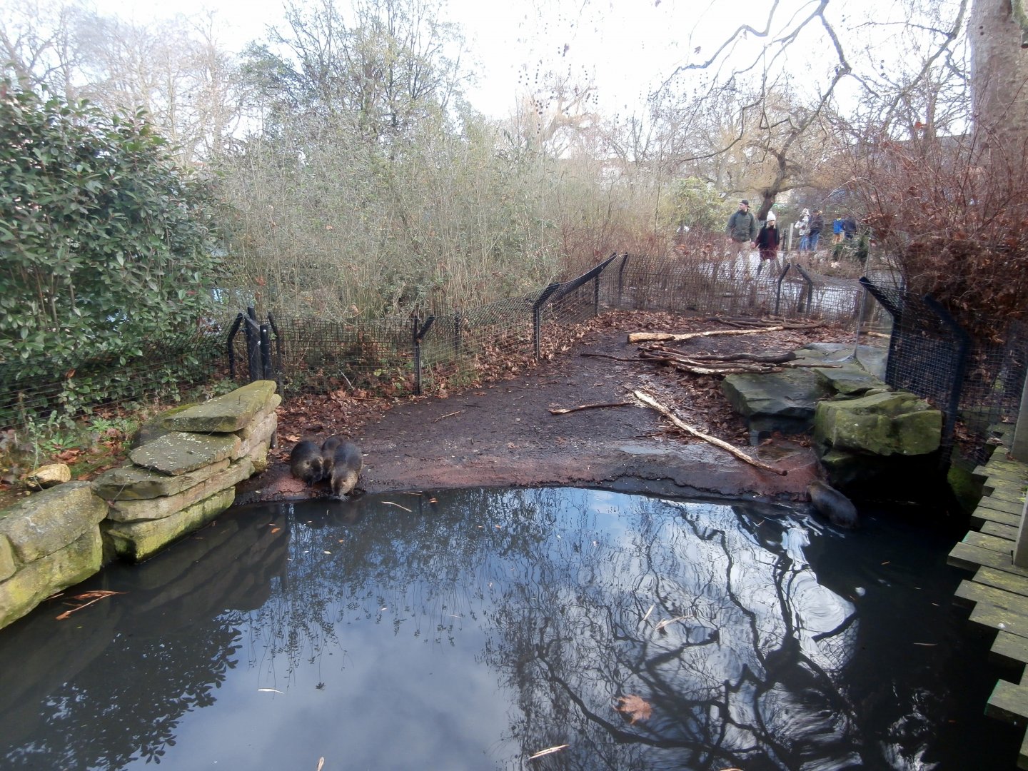Hippotopia - Coypu enclosure