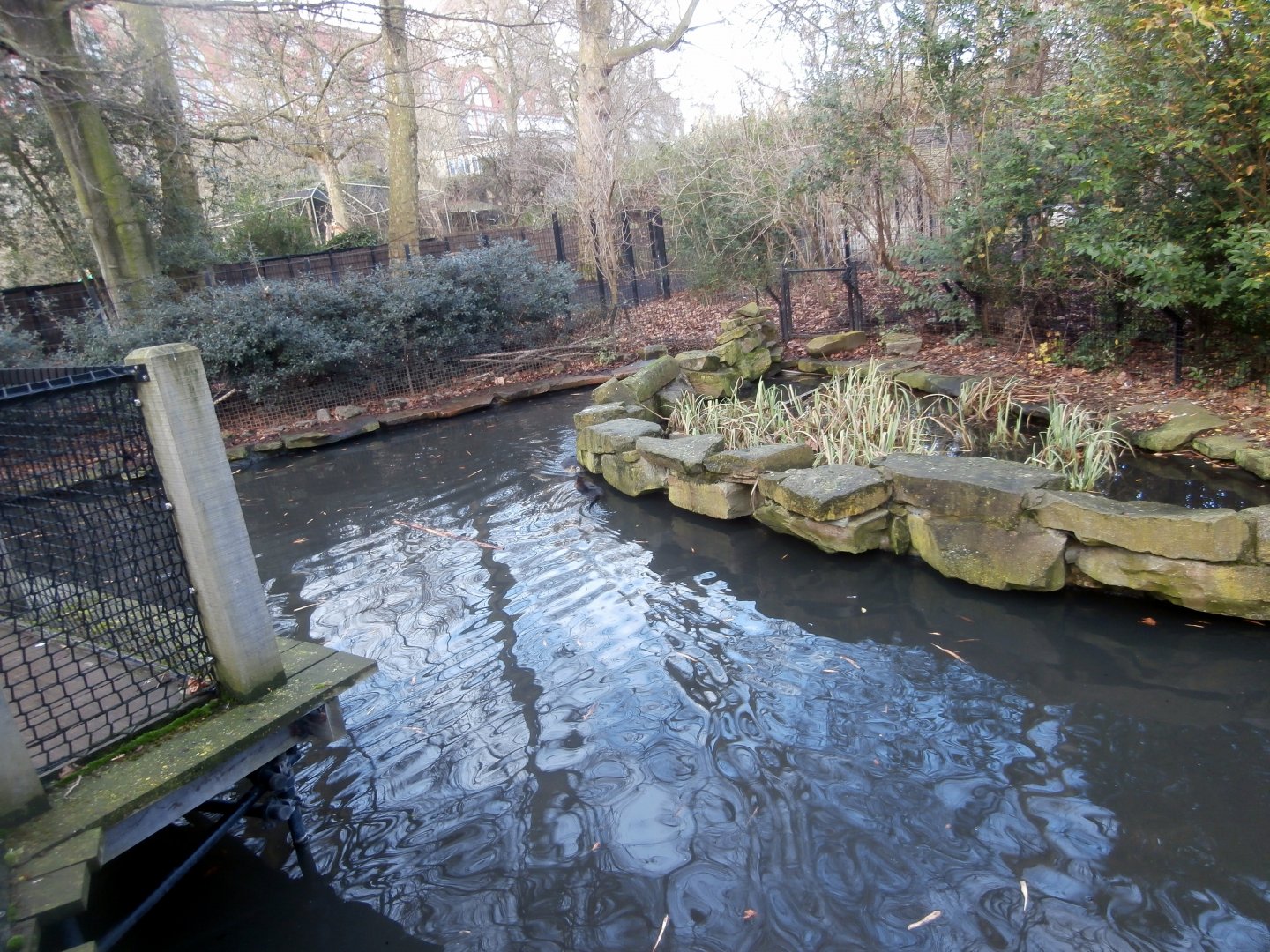 Hippotopia - Coypu enclosure