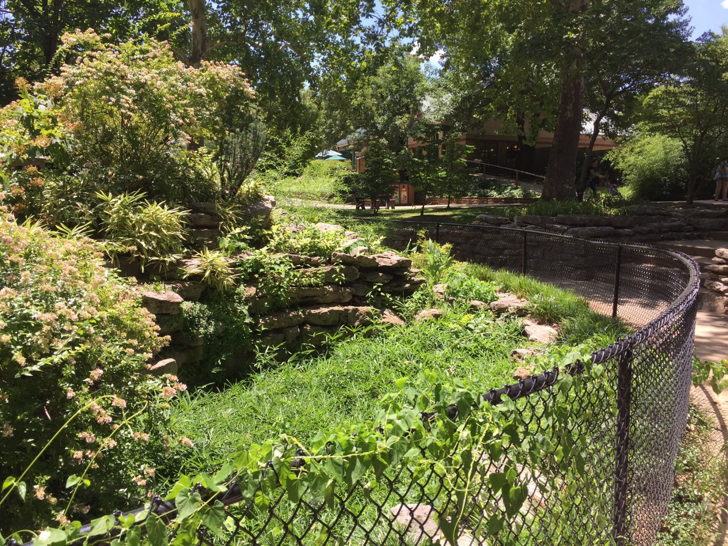 Historic 1938 WPA-built alligator grotto - now a decorative koi pond