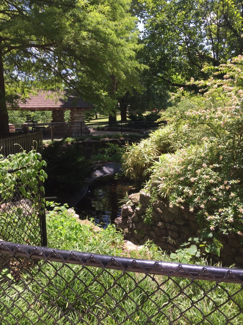 Historic 1938 WPA-built alligator grotto - now a decorative koi pond