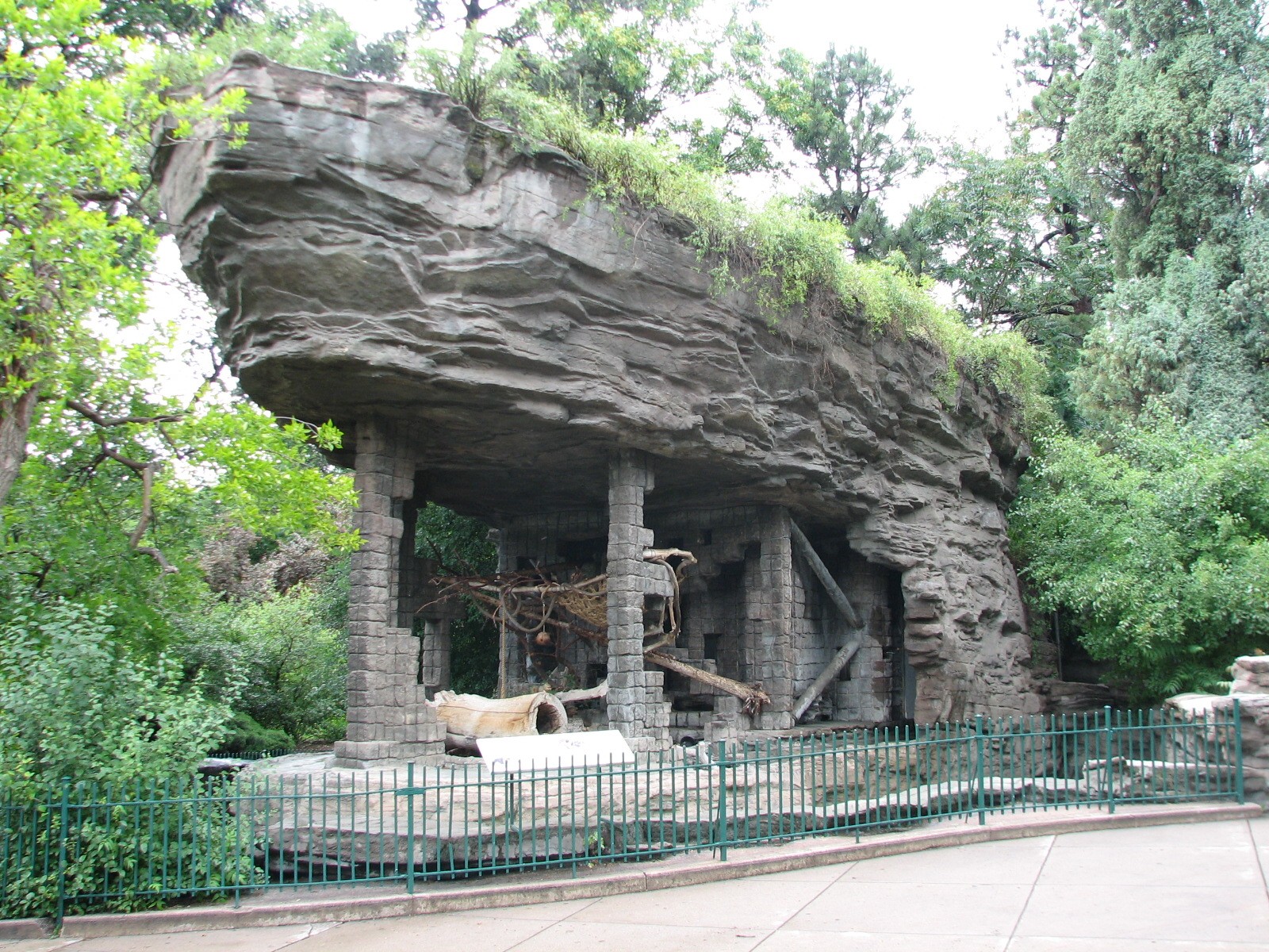 Historic Bear Mountain - Coatis