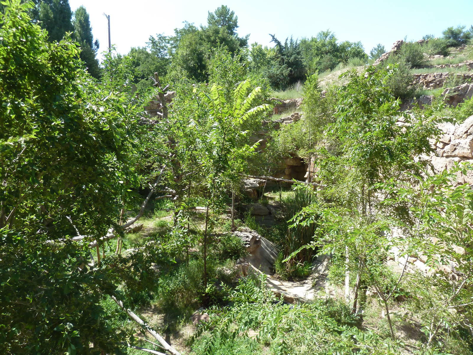 Historic Bear Pits - Golden Eagle Exhibit