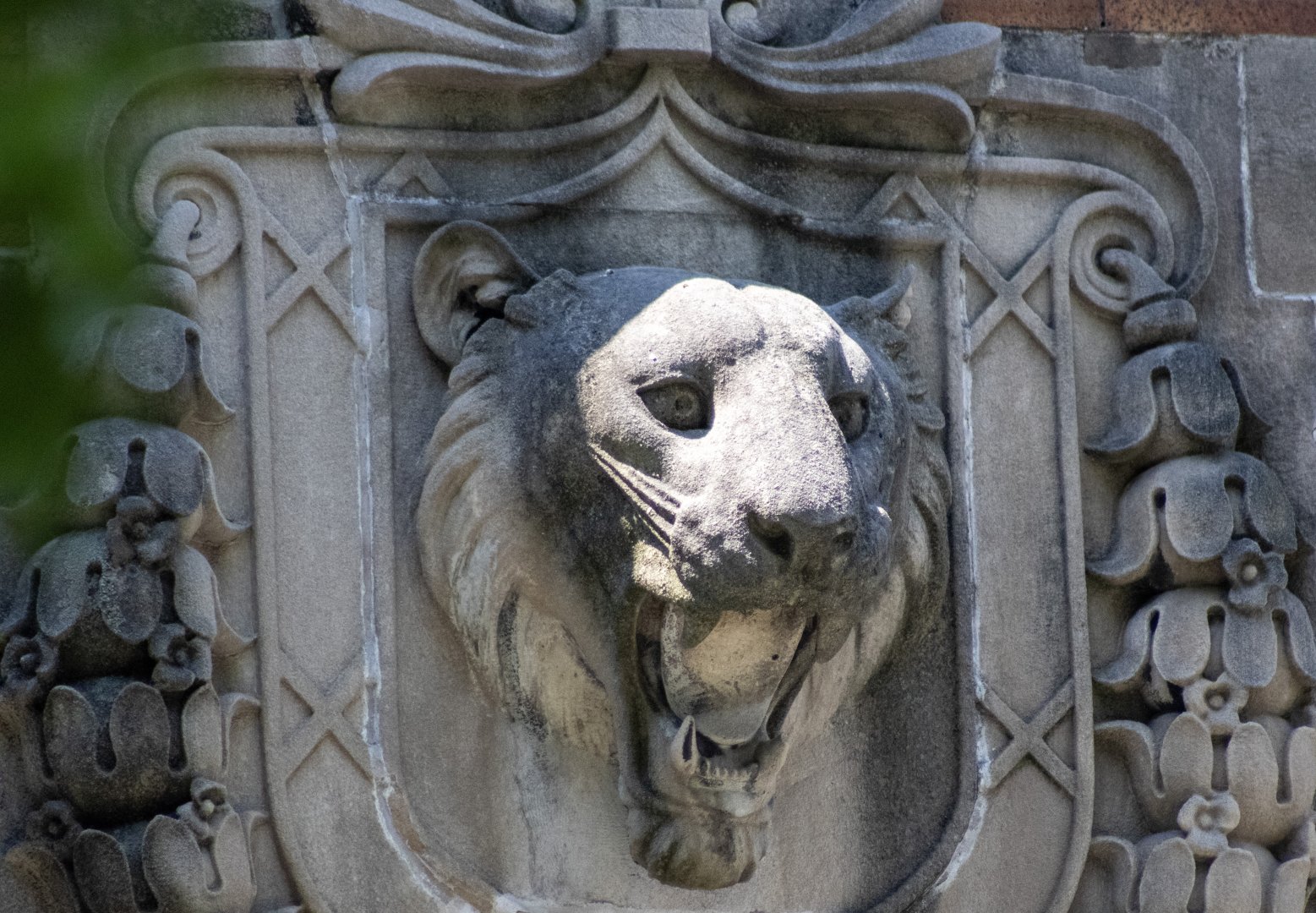 Historic Big Cat House Art