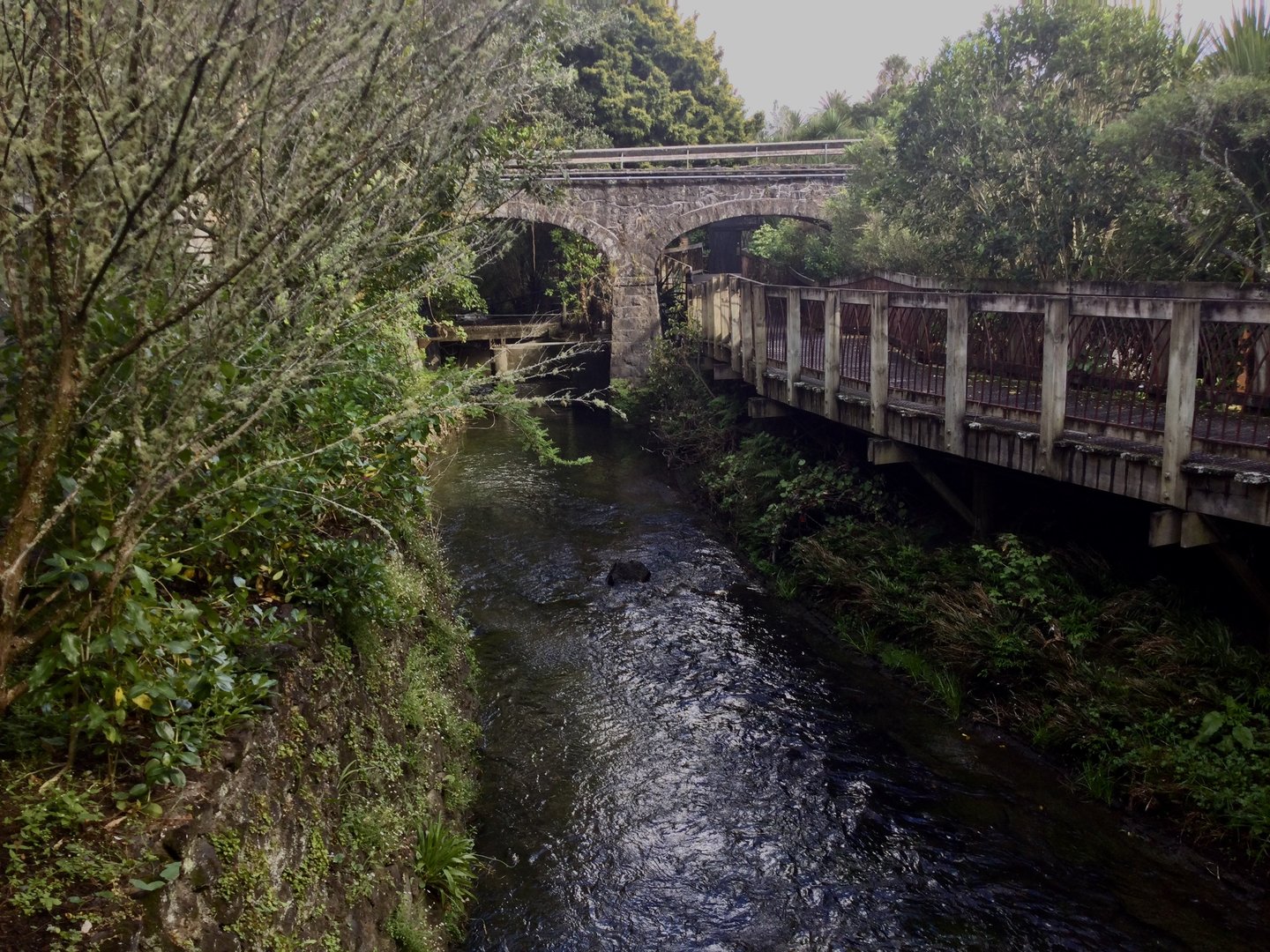Historic Bridge (1922) - Motions Creek