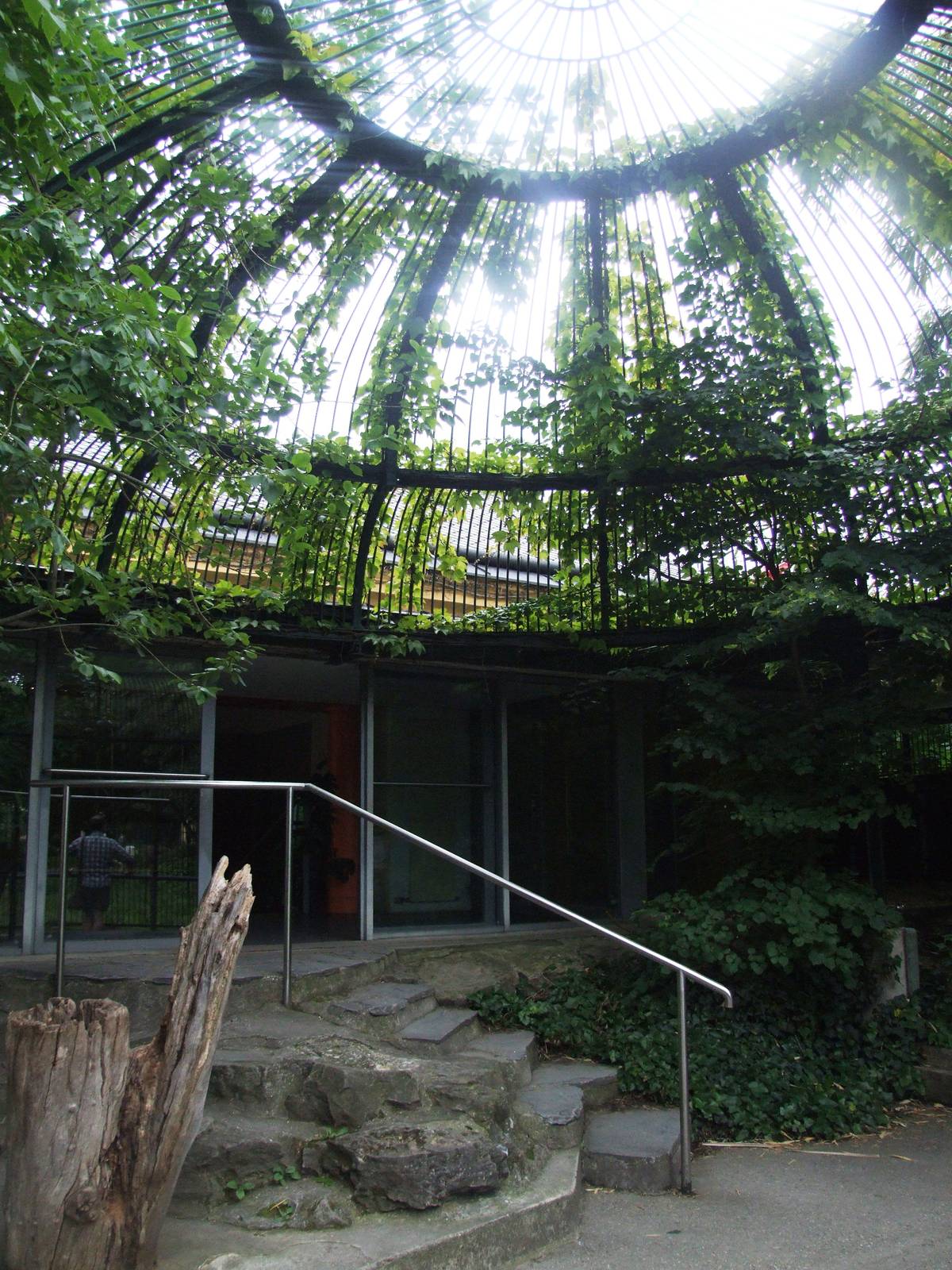 Historic Cage at Vienna, 14/06/13